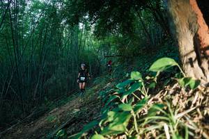 BIB: 
                            <button type="button" onclick="openModal(28124100)" class="btn btn-primary btn-sm float-right btn-popup" data-toggle="modal" data-target=".modal-high-quality">
                        <i class="fas fa-shopping-cart"></i> Add to Cart
                    </button>
                                            <button type="button" onclick="isThisMe(28124100, true)" class="btn btn-success btn-sm float-right btn-popup btn-isme hidden" data-toggle="tooltip" data-placement="bottom" title="นี่คือรูปของคุณใช่ไหม คลิกที่นี่เพื่อเอาเข้าอัลบั้ม">
                        <i class="fas fa-plus"></i> Add to album
                    </button>
                    <button type="button" onclick="isThisMe(28124100, false)" class="btn btn-warning btn-sm float-right btn-popup btn-isnotme hidden">
                        <i class="fas fa-ban"></i> Remove from album
                    </button>